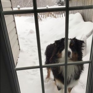 Meet your Posher, Yvonne